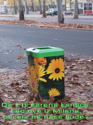 kantica sa zutim cvecem.jpg, 118 KB